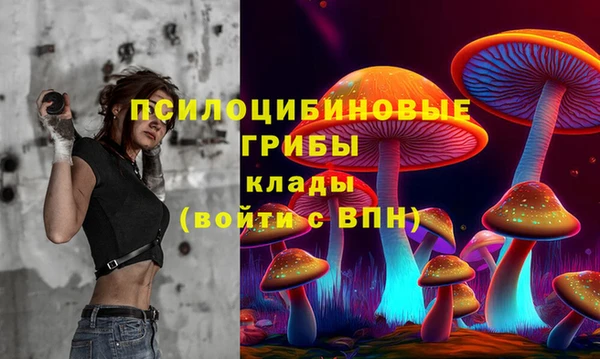 спиды Медногорск