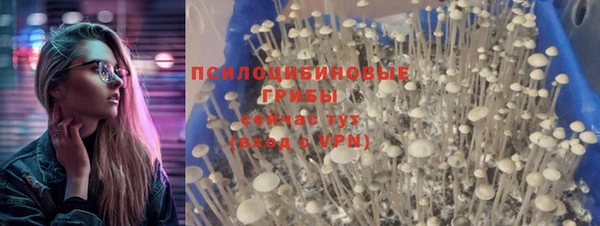 спиды Медногорск